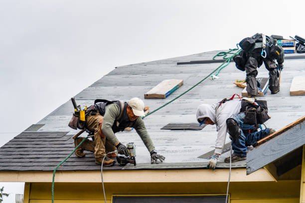 Professional Roof Replacement technician working in Black Diamond, FL